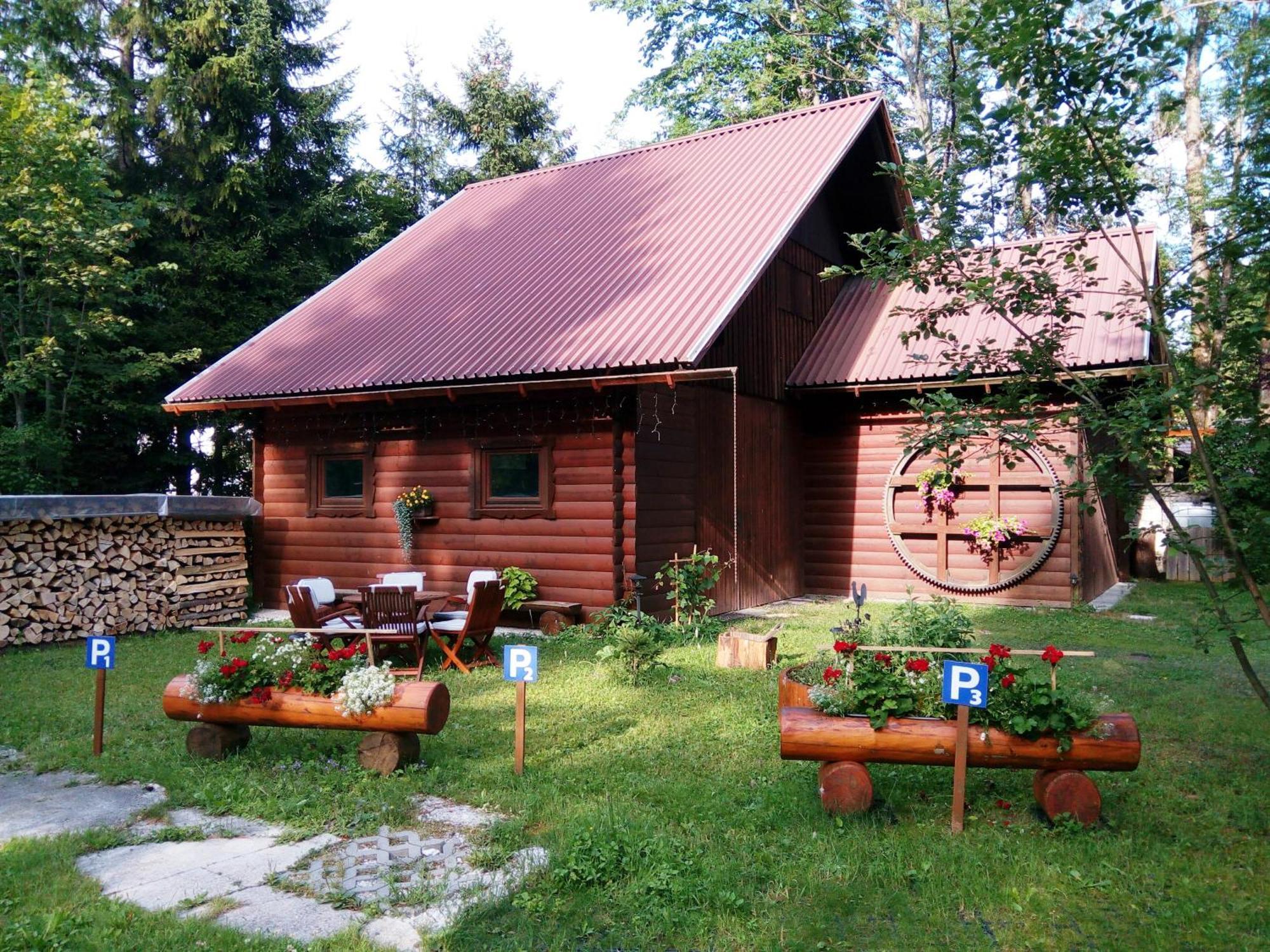 Farm Kosir Villa Kranjska Gora Dış mekan fotoğraf