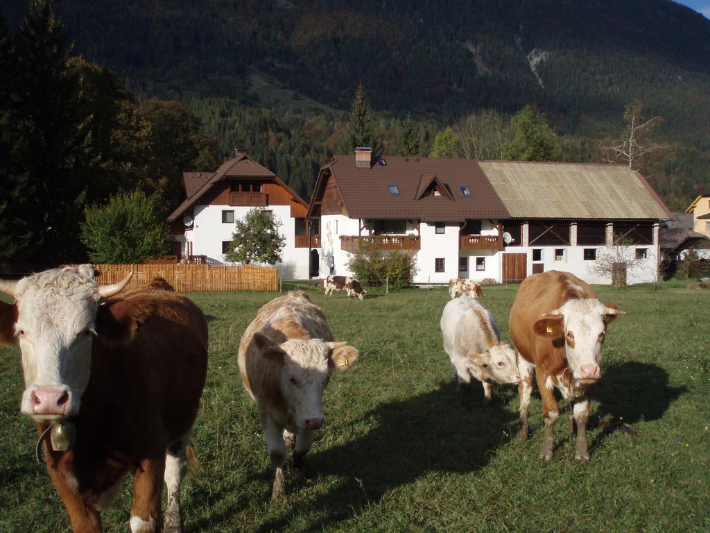 Farm Kosir Villa Kranjska Gora Dış mekan fotoğraf