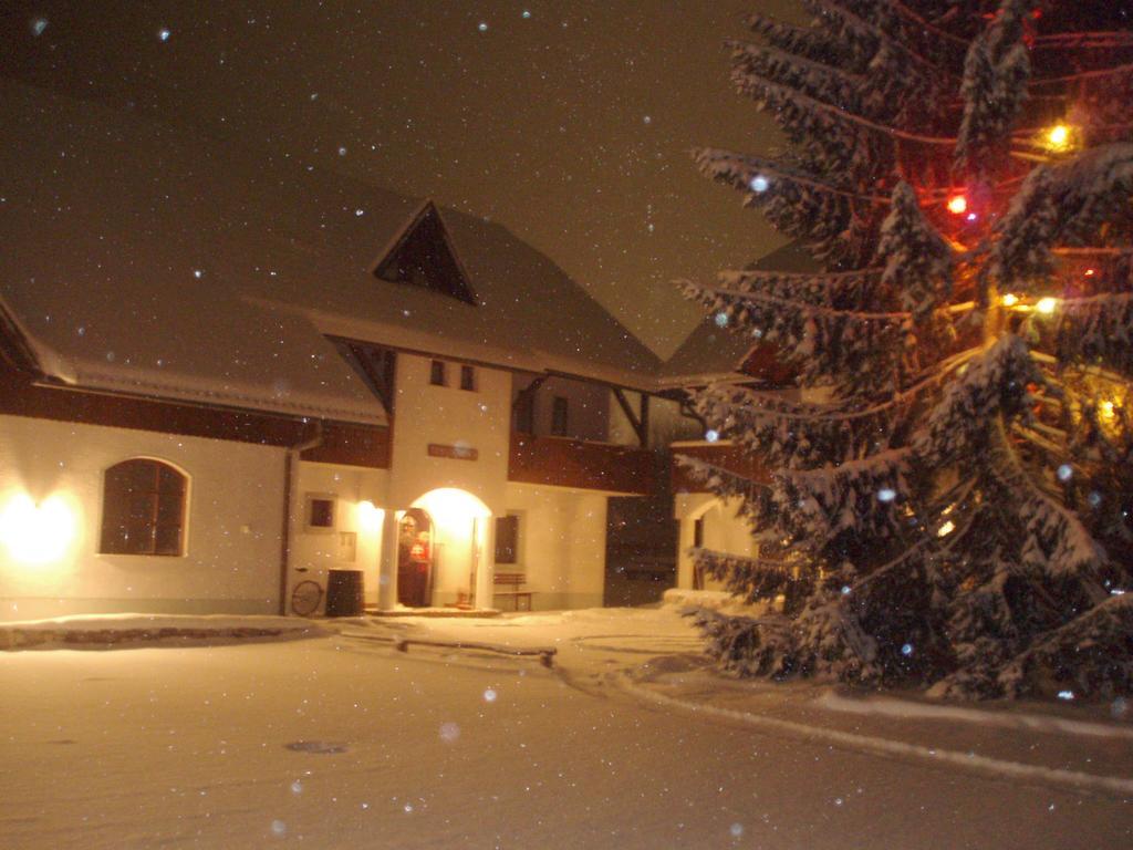 Farm Kosir Villa Kranjska Gora Dış mekan fotoğraf