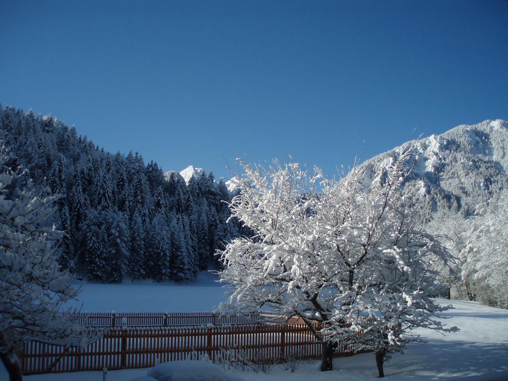 Farm Kosir Villa Kranjska Gora Dış mekan fotoğraf