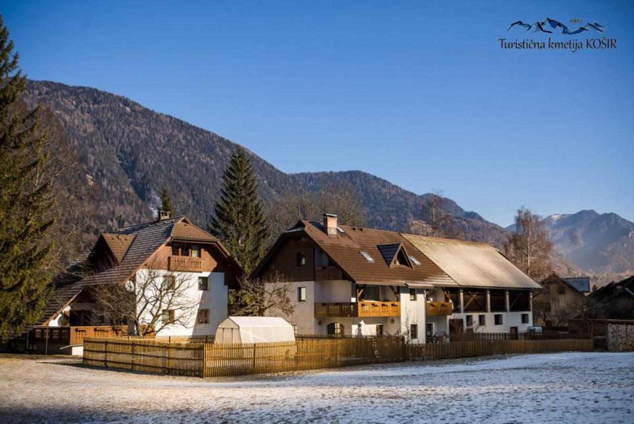 Farm Kosir Villa Kranjska Gora Dış mekan fotoğraf